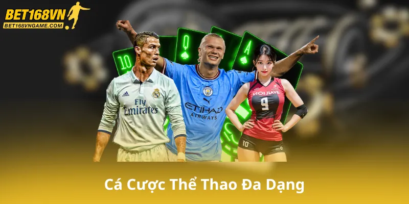 Trải Nghiệm Cá Cược Thể Thao Đa Dạng